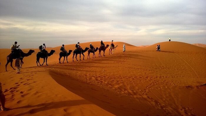 camel-ride-abu-dhabi