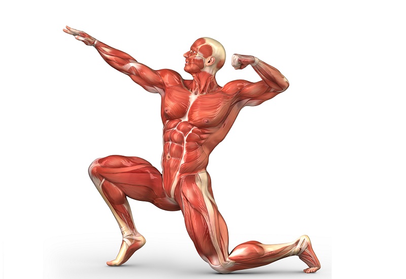 muscularmanposing