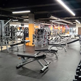 Gain Best of Fitness Results With Top Gyms