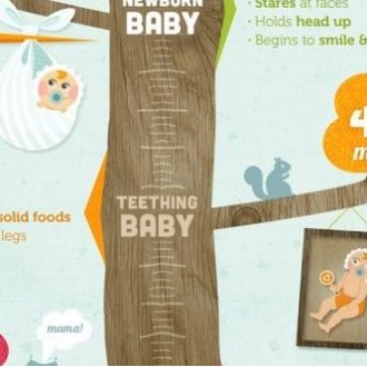 All Stages Of Baby Development – Captured In Infographics