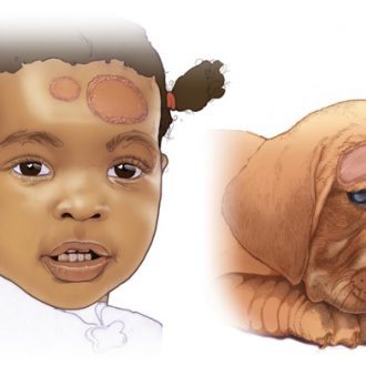 Fungus Common Cause of Ringworm in Pets