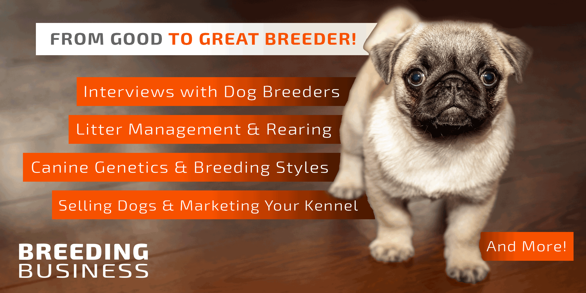 Tips for Establishing your Dog Breeding Business - Imagination Waffle