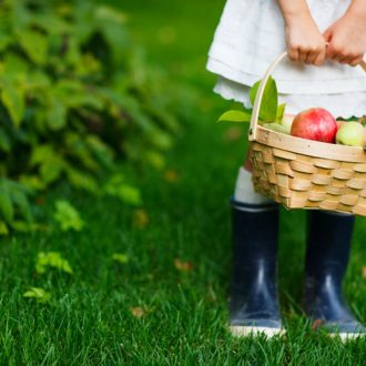 Your Guide To Organic Lifestyle