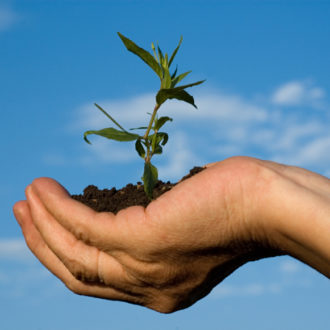 How Working in Another Country Can Boost Your Personal & Professional Development