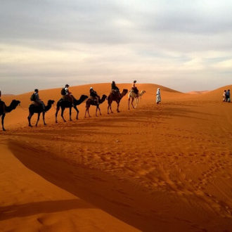 Things To Do In Abu Dhabi With Kids