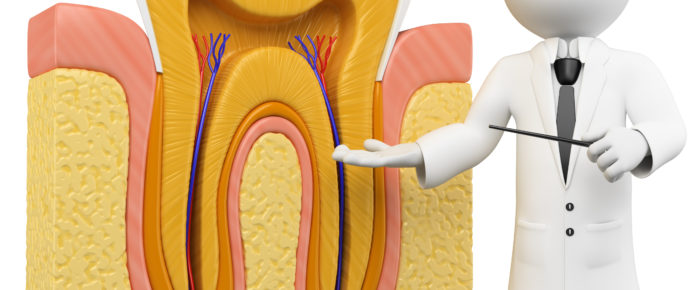 Useful Information About Root Canal Treatment