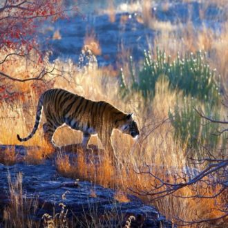 5 Weekend Getaways – Raipur