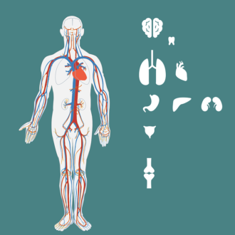 Some Important Kidney Disease Diet Tips