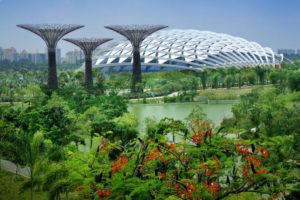 Gardens by the Bay