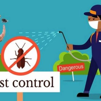 Pest Control in Logan – Protect Your Home & Business from Unwanted Guests