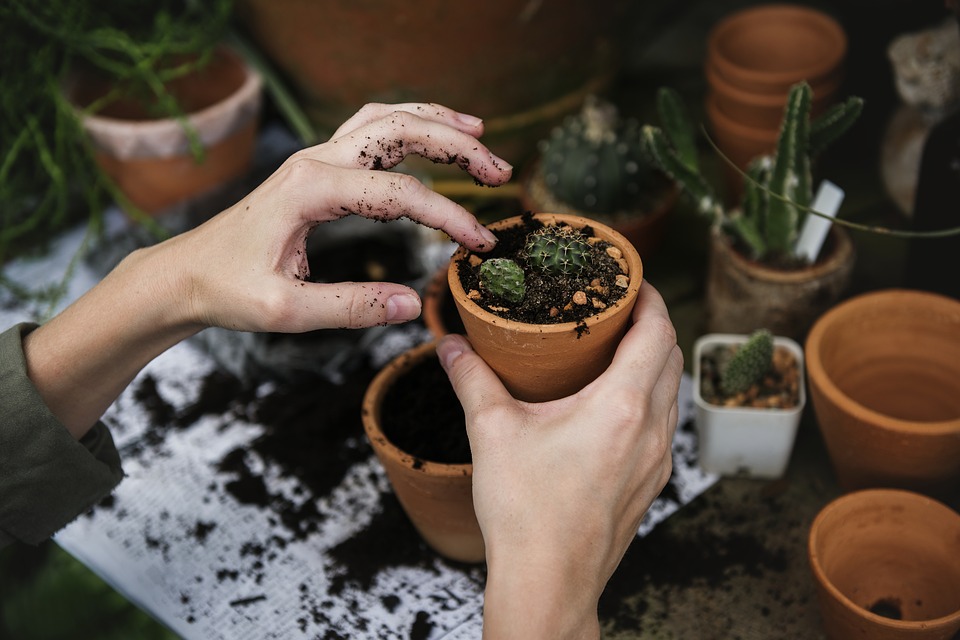 friendly plants