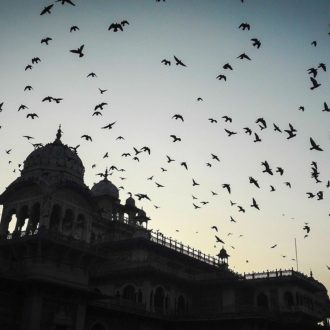 Exploring Jaipur With The Family